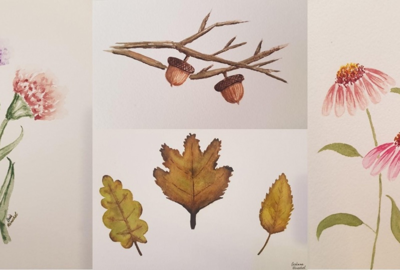 Autumn Watercolor Paintings