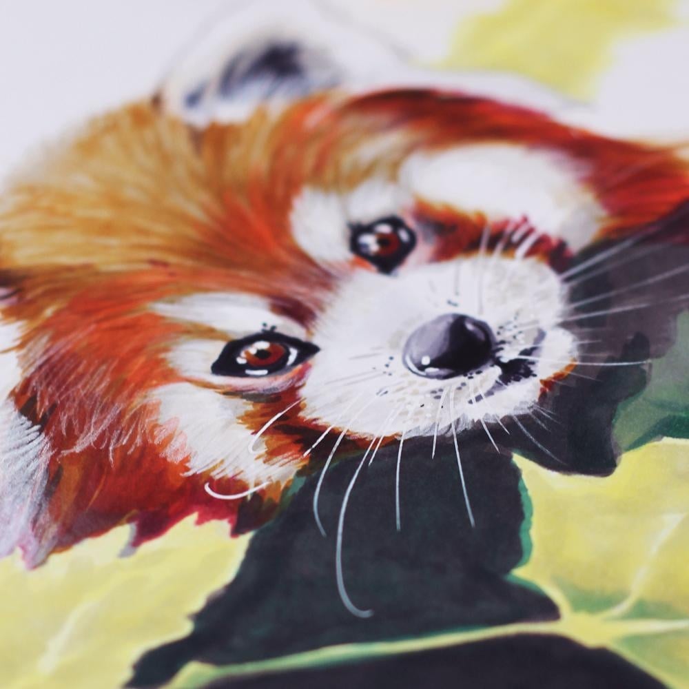 Moulin Rouge, Paris Café and Red Panda
