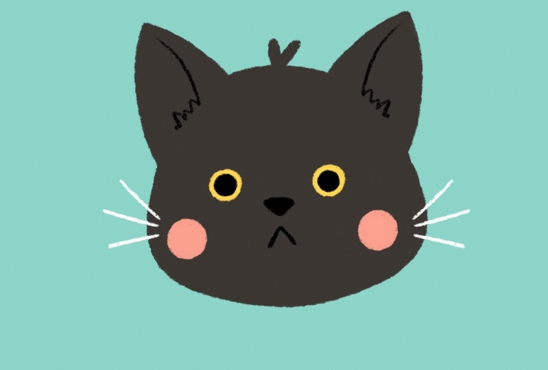 Cute Cat Stickers