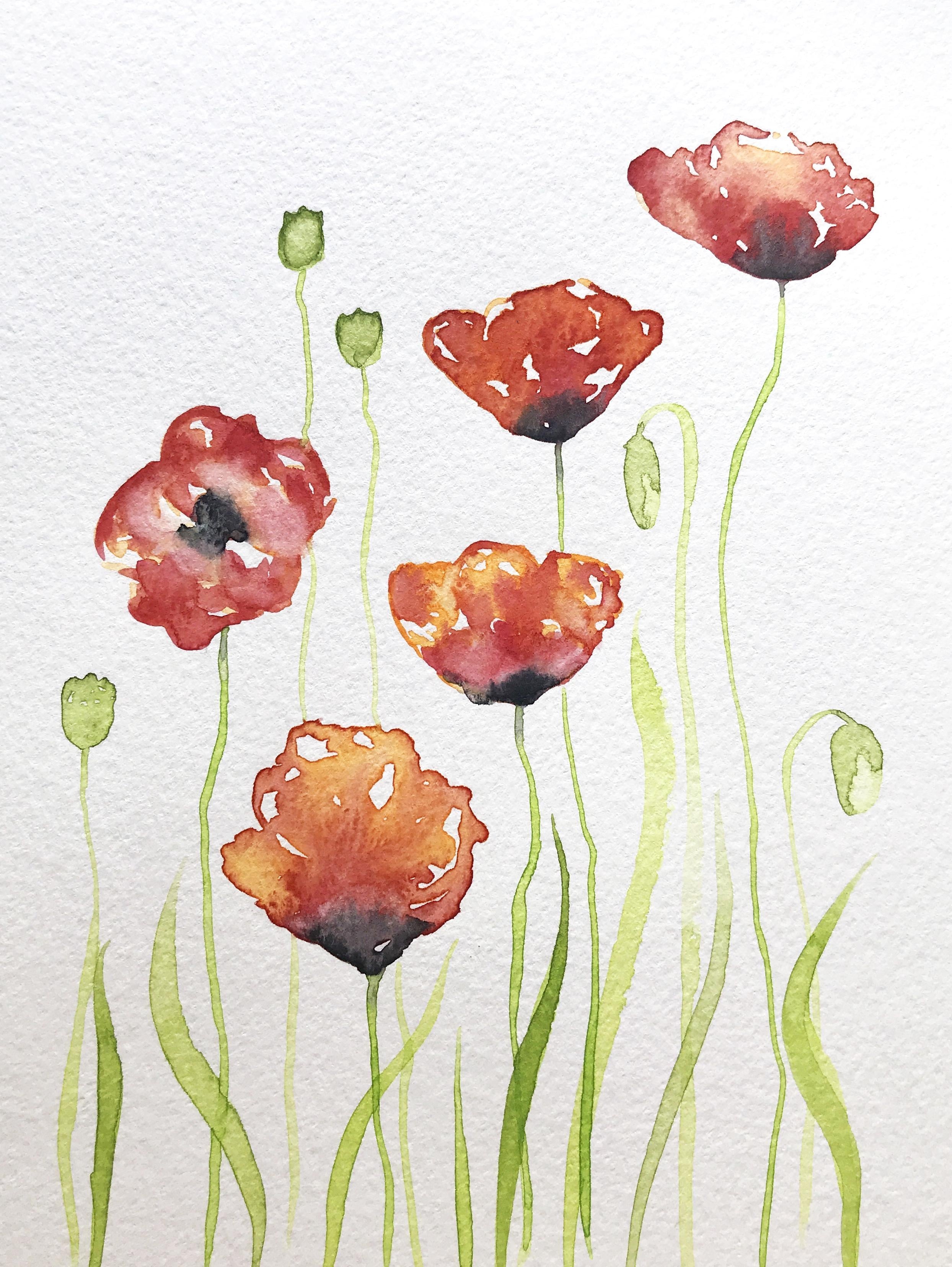 15 Minutes Watercolor Poppy Flowers - student project