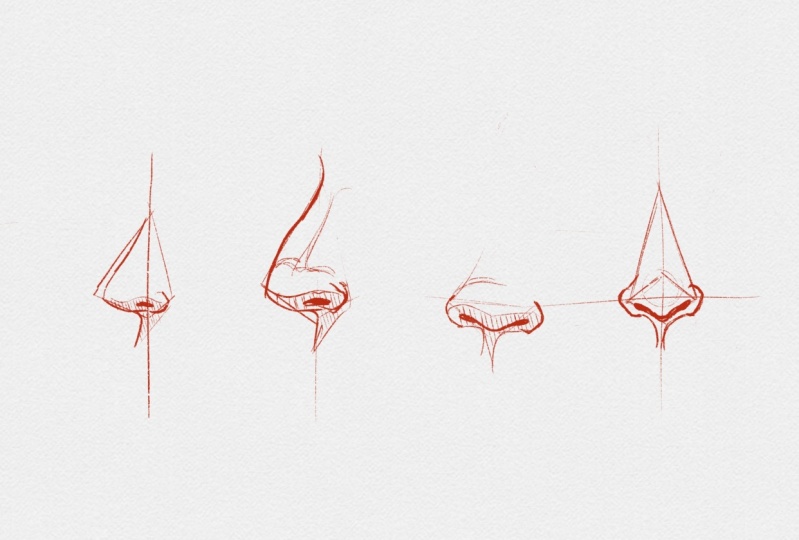 More Noses