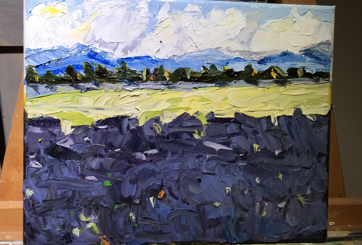 Lavender Fields Attempt - student project