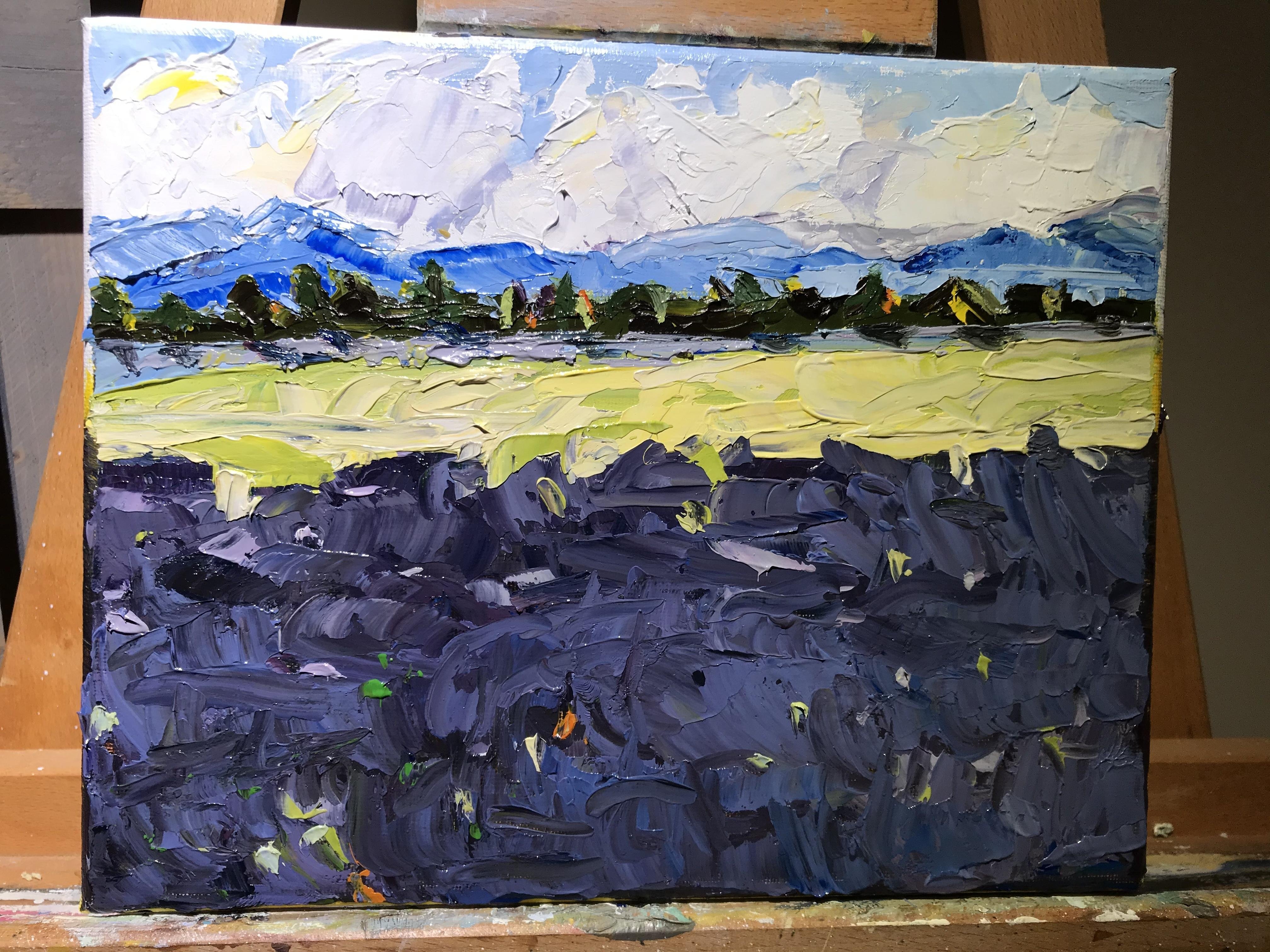 Lavender Fields Attempt - student project