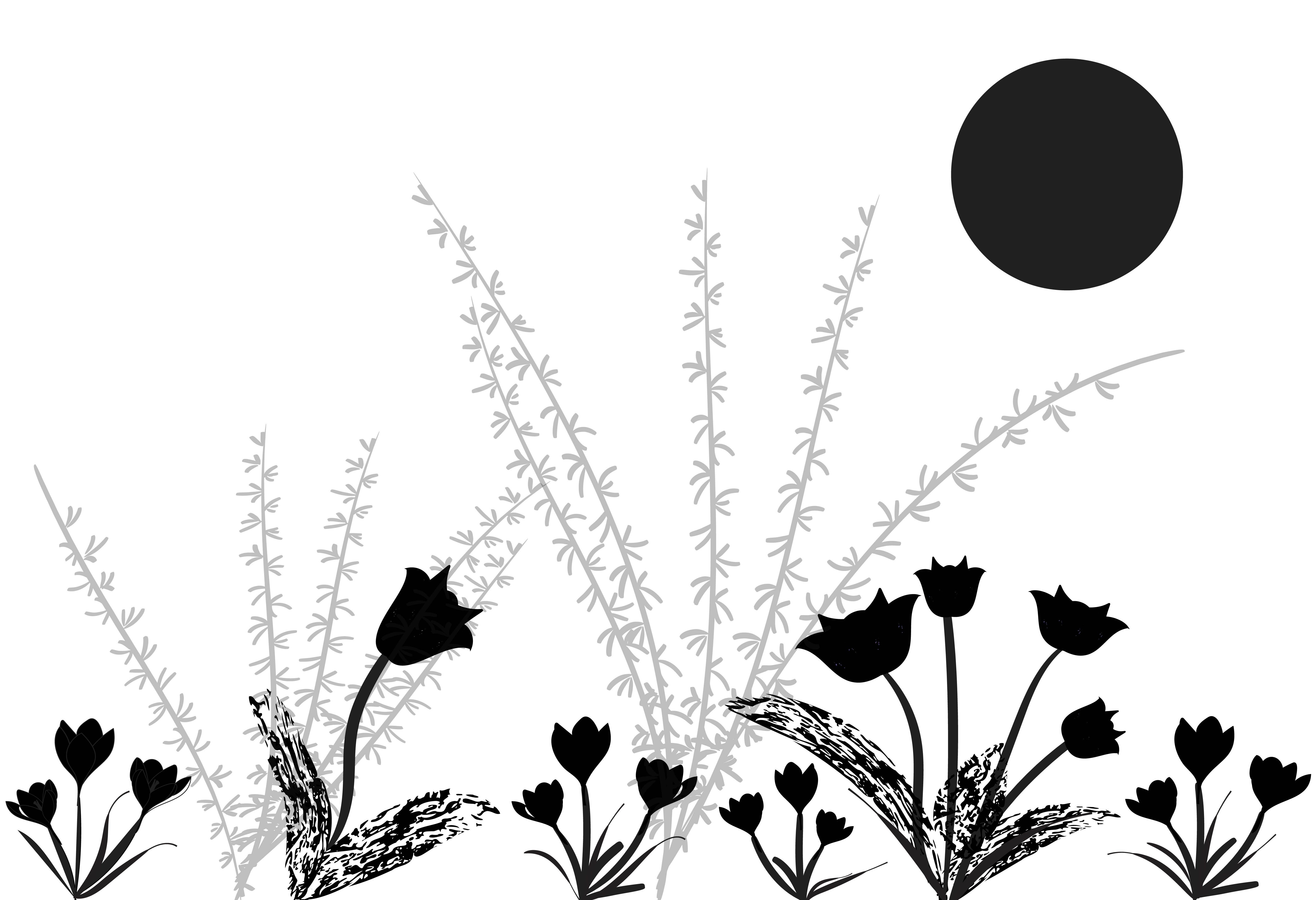 more-projects-from-class-img