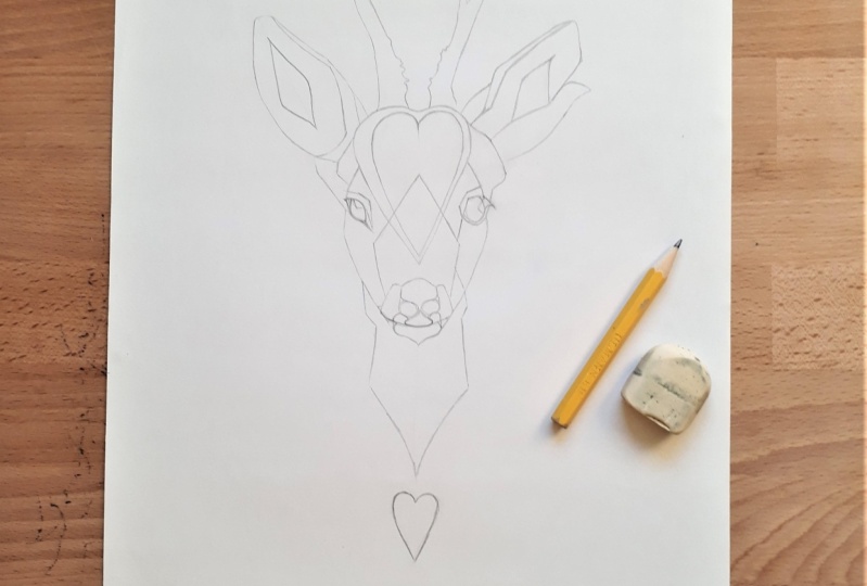 Roe Deer