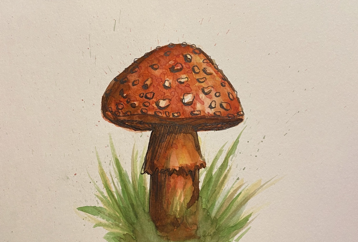 My first watercolor painting! - student project