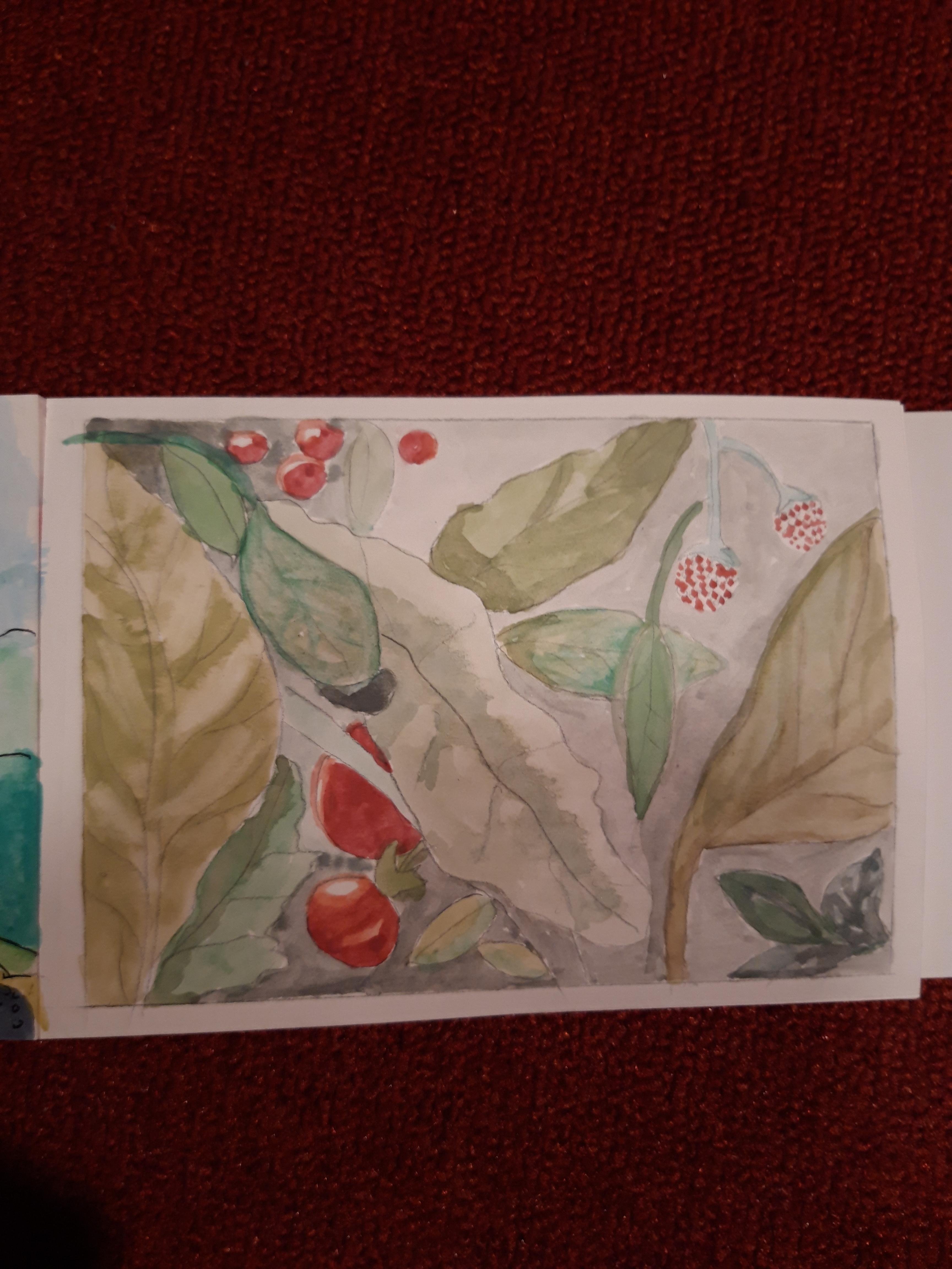 more-projects-from-class-img