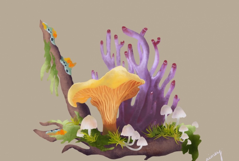 Fungi