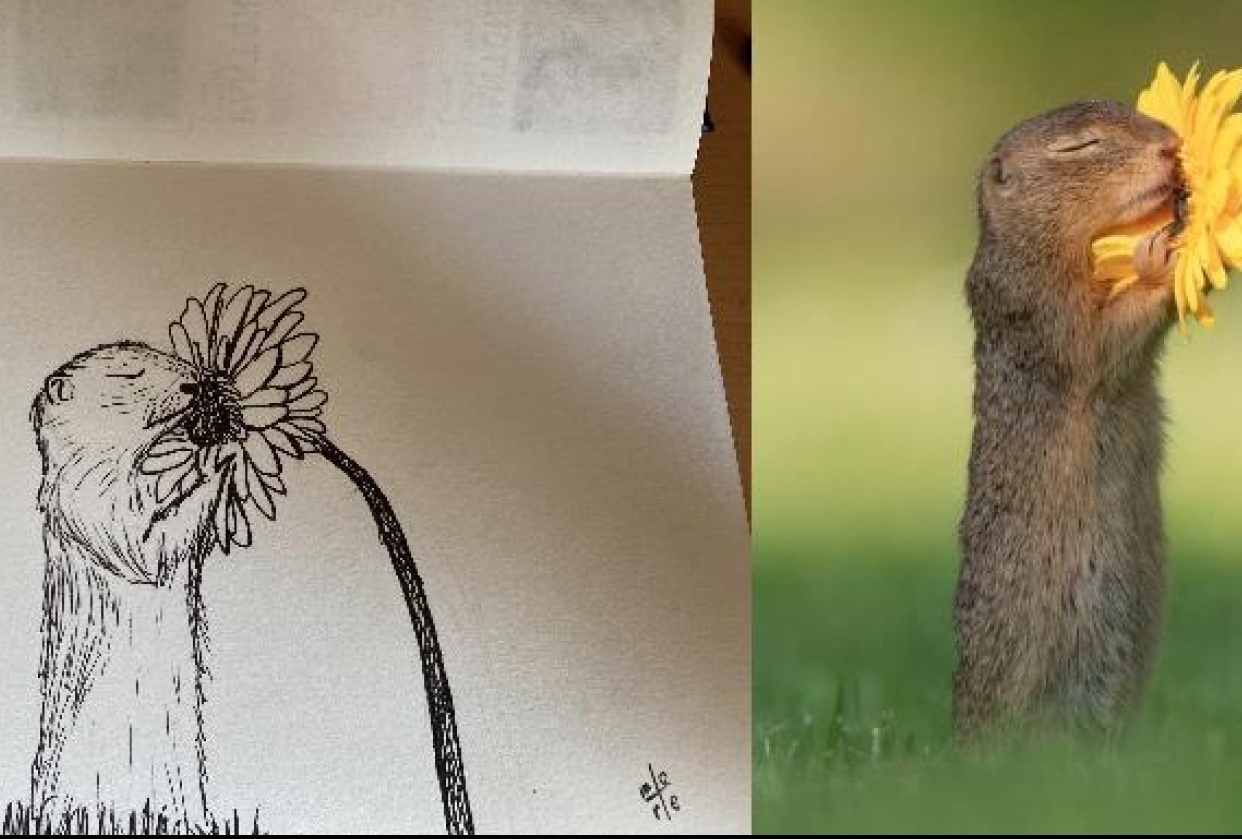 Squirrl - student project