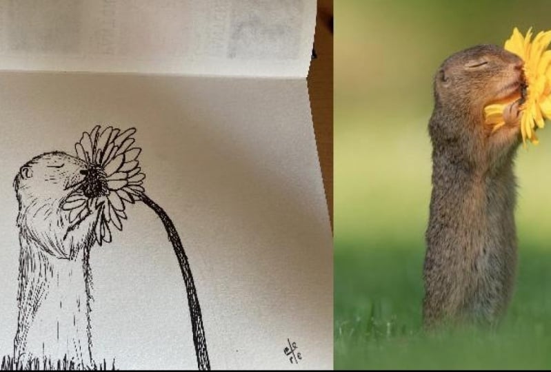 Squirrl
