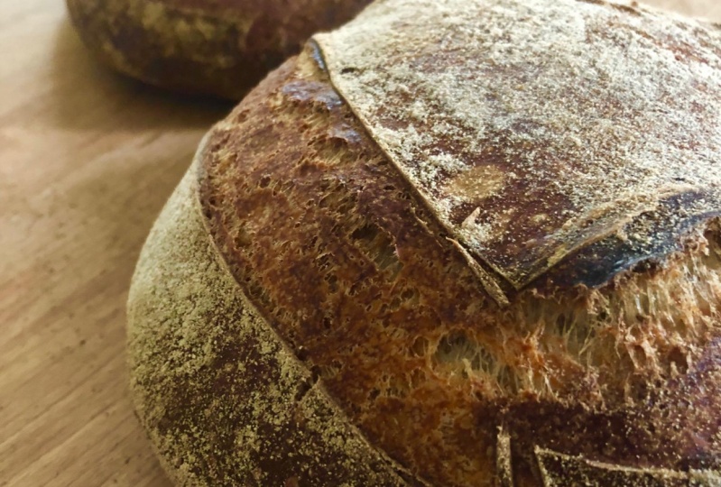 Sourdough Sensations!