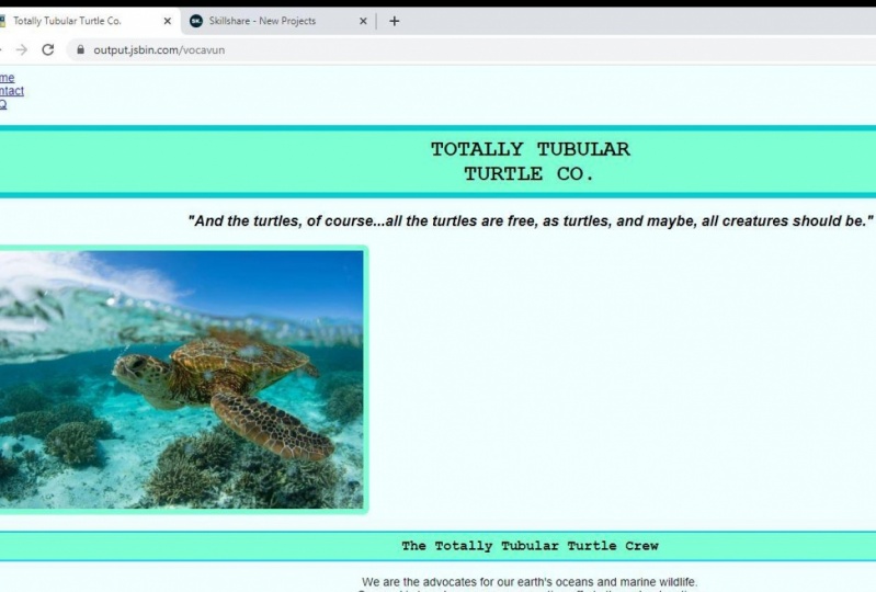 My first HTML site
