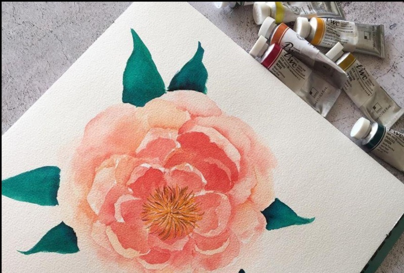 My peonies