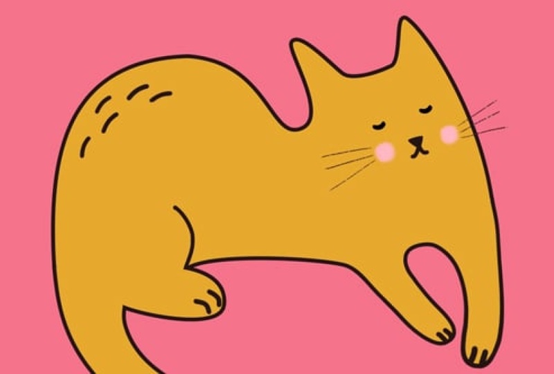 Making biscuits