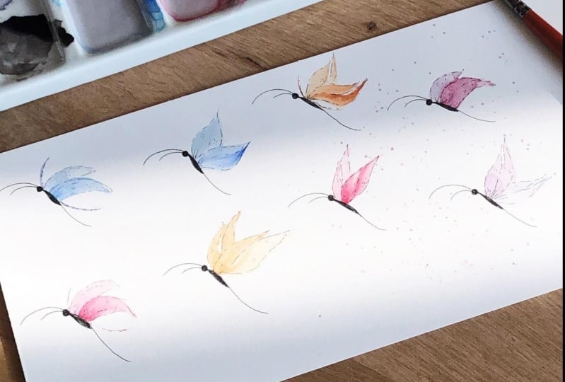 Butterflies