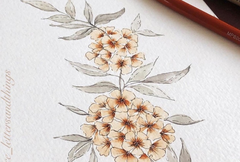 Watercolor floral stems