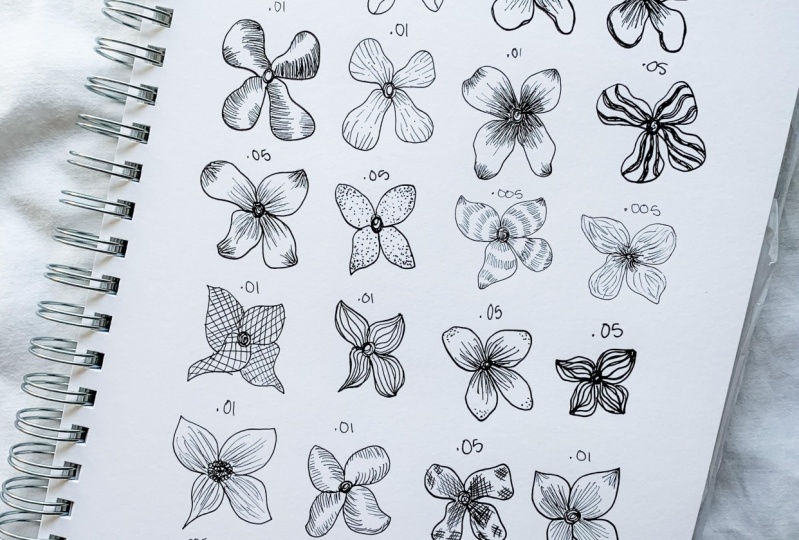 Ink and Botanical Illustration Project