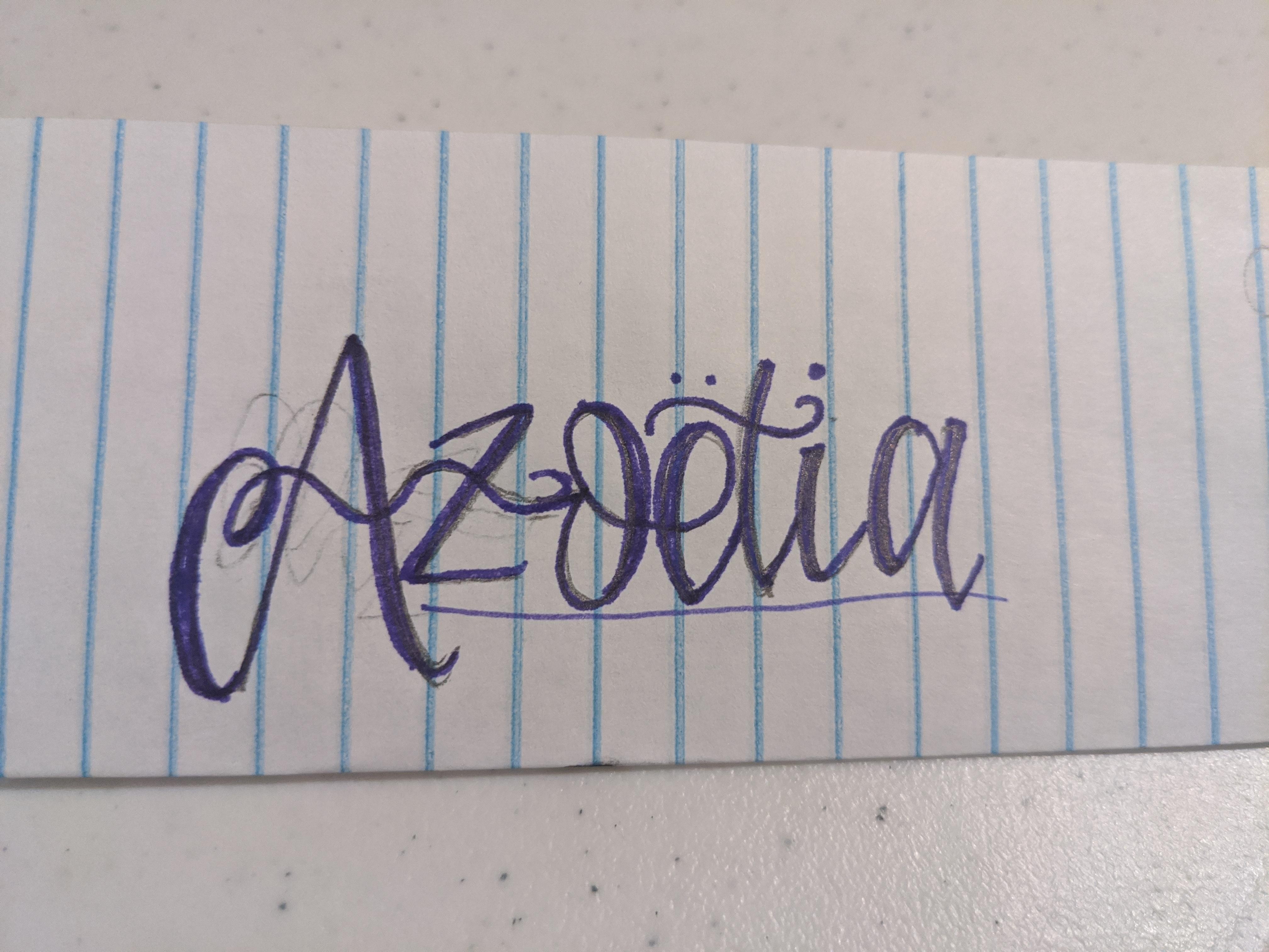 Outline for the embroidery project - student project