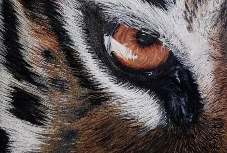 Tiger Eye