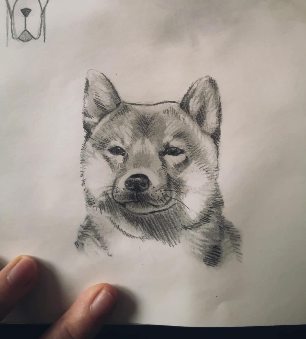 A small dog portrait I made after completing the class - student project