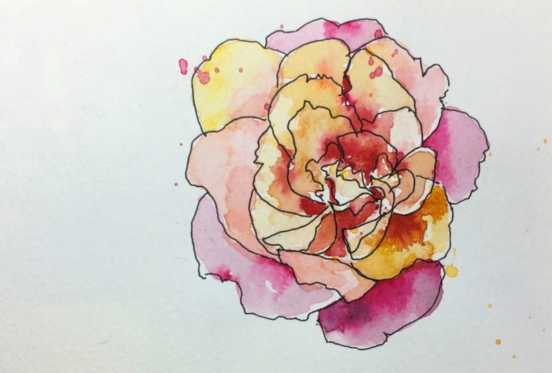 Roses!