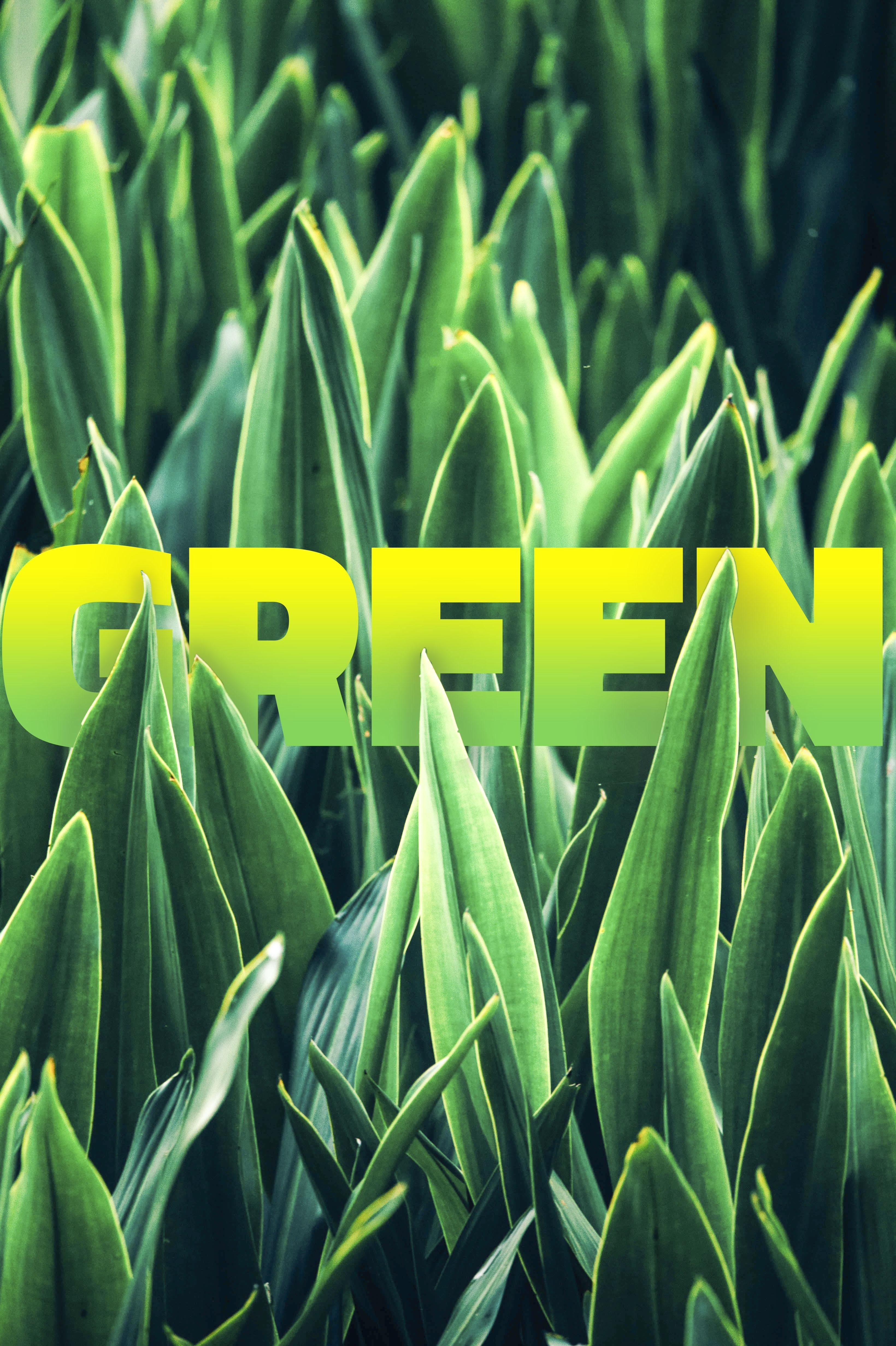 Text & Image Interaction