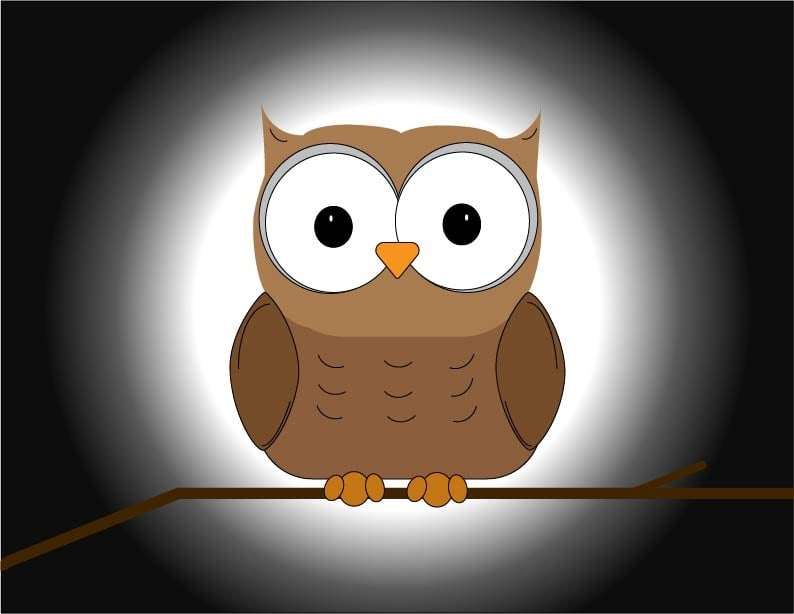 owl - student project