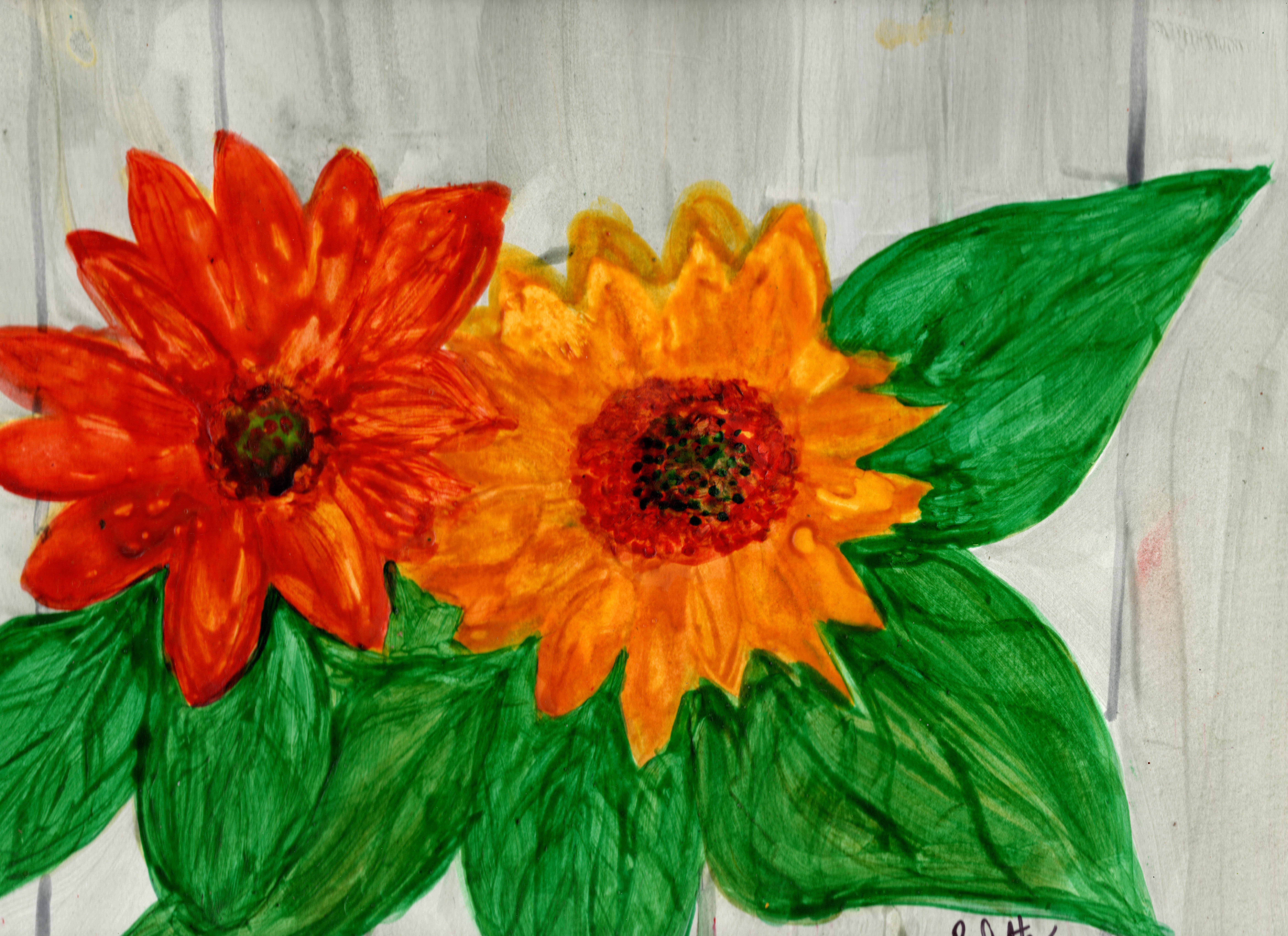 more-projects-from-class-img