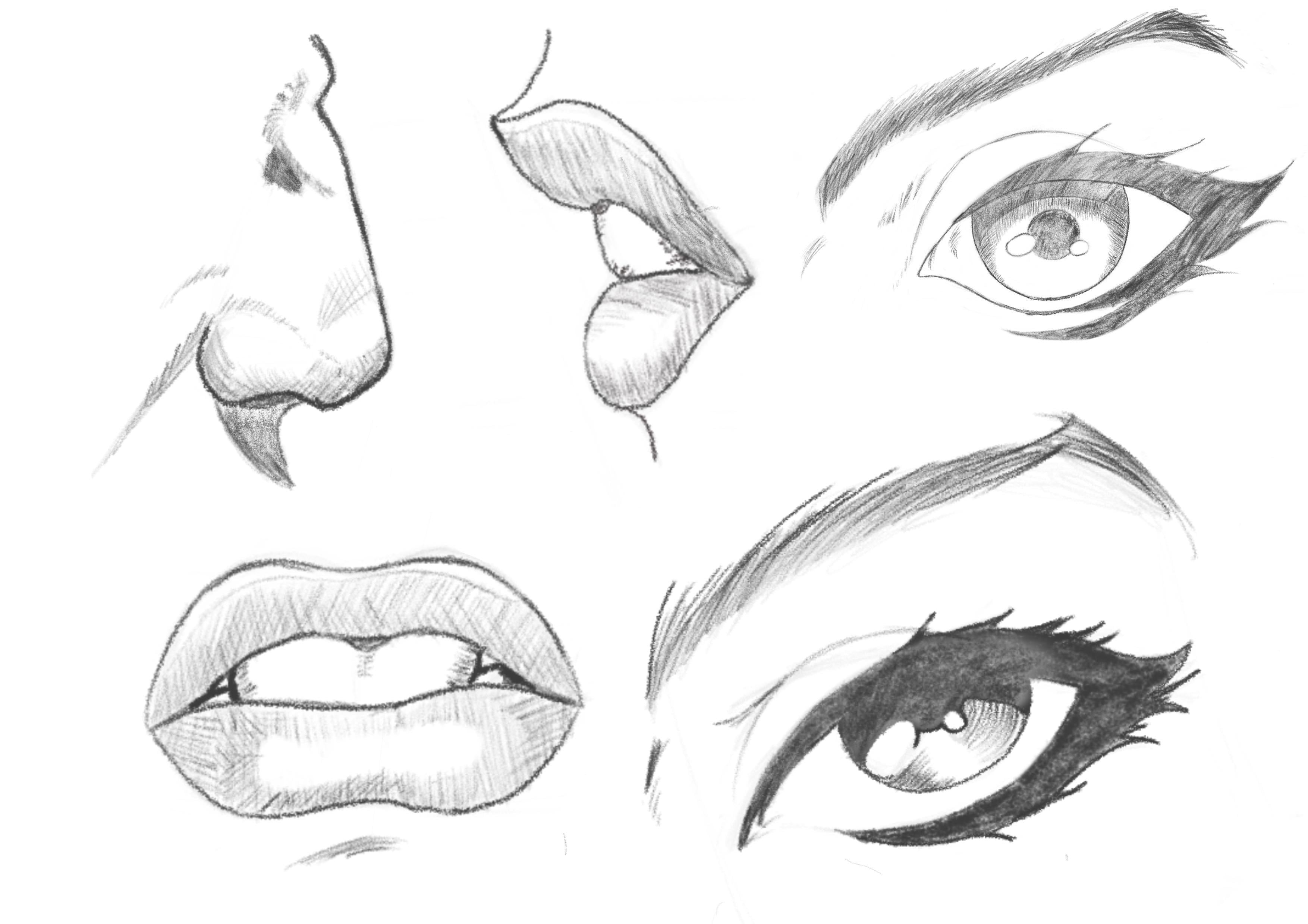 Line, Shape, and Form Project - student project