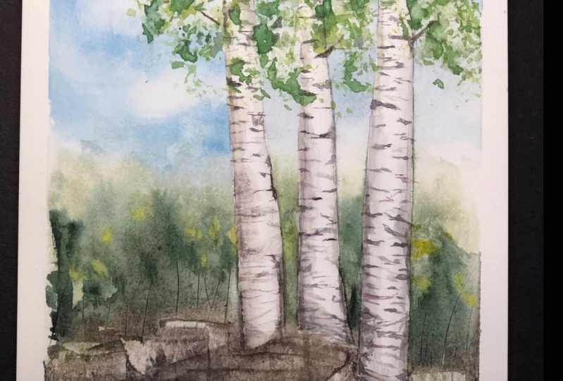 Deciduous Trees