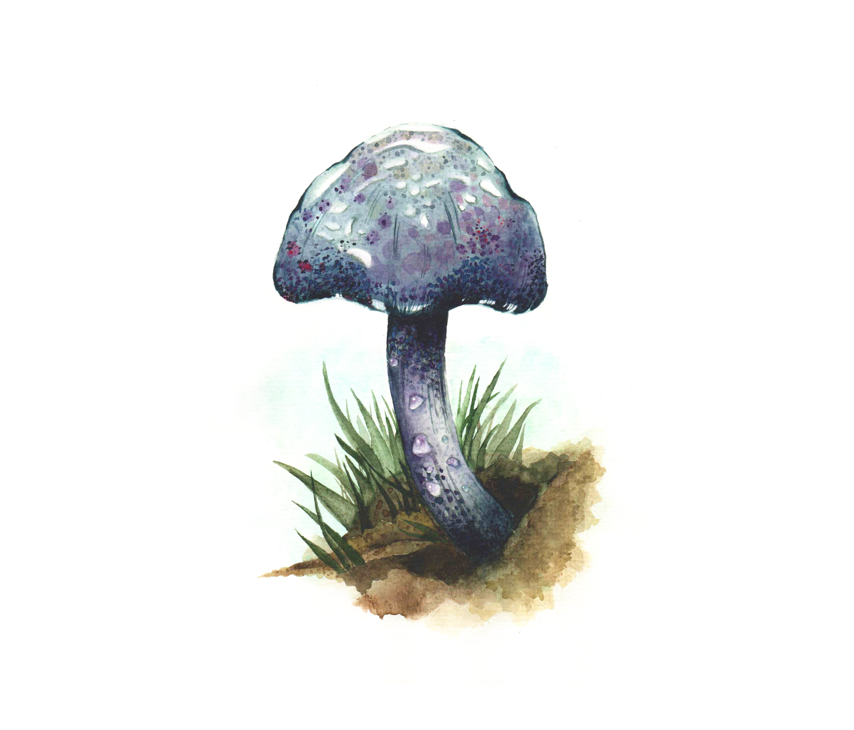 My speckled mushroom:)