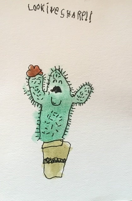 Mr Cactus - student project