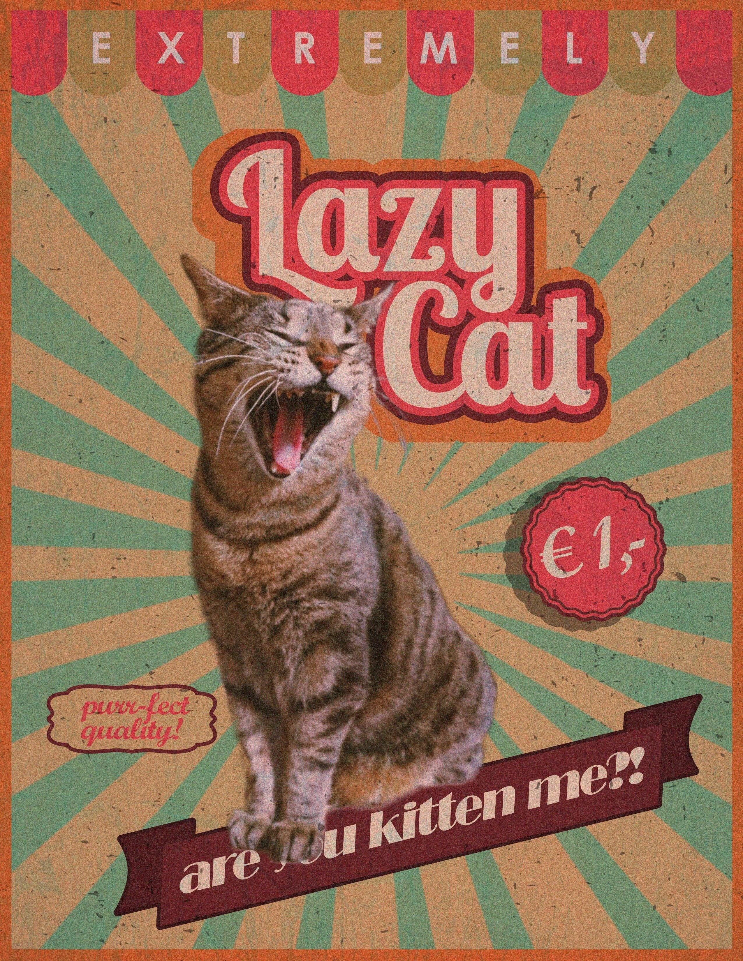 Are you kitten me? - student project