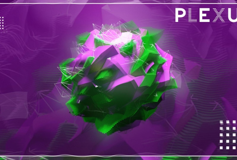 Plexus