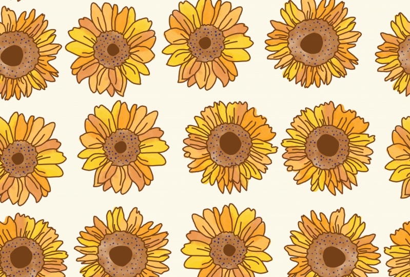Sunflower Pattern