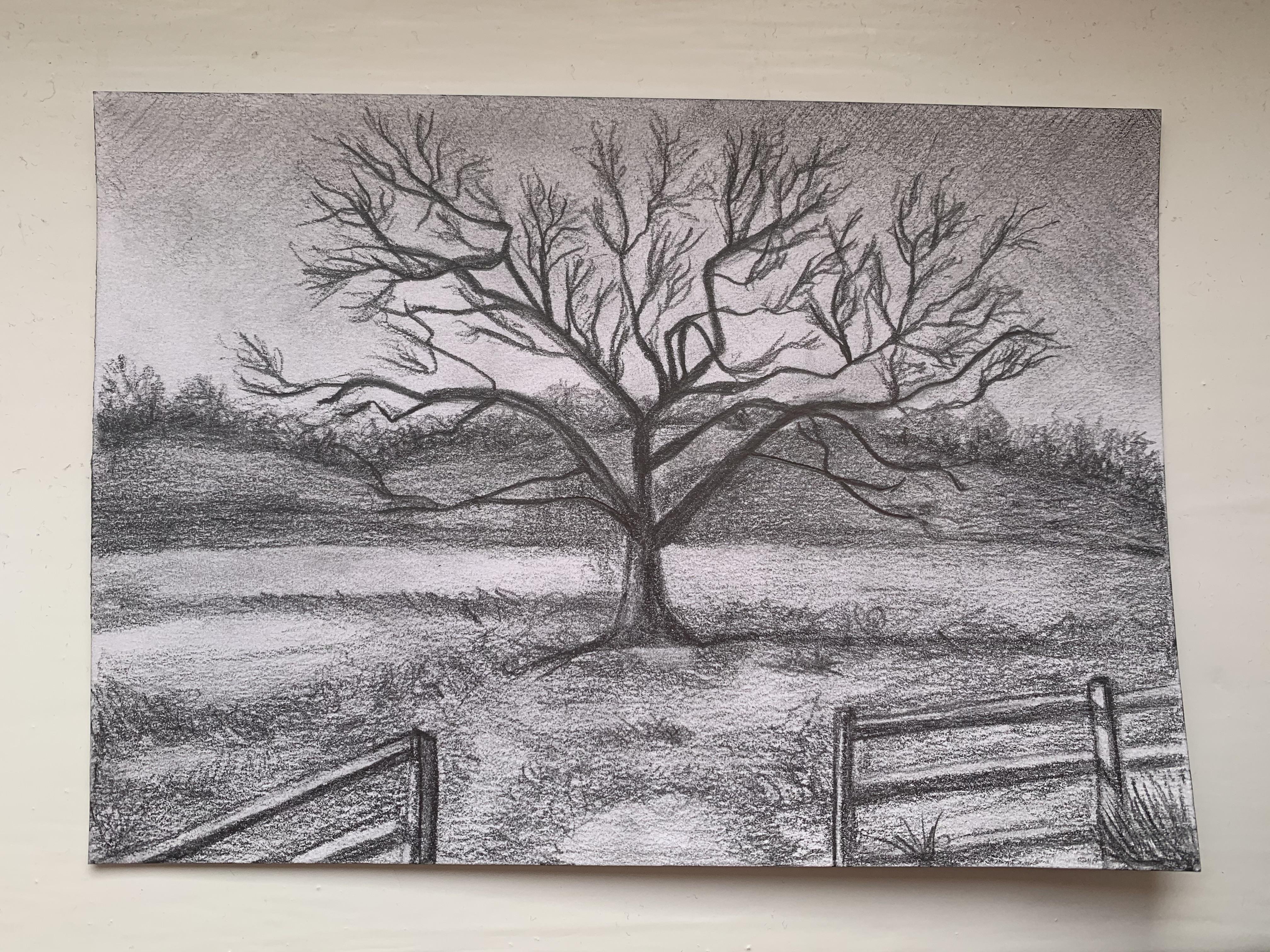 Drawing during the quarantine :) - student project
