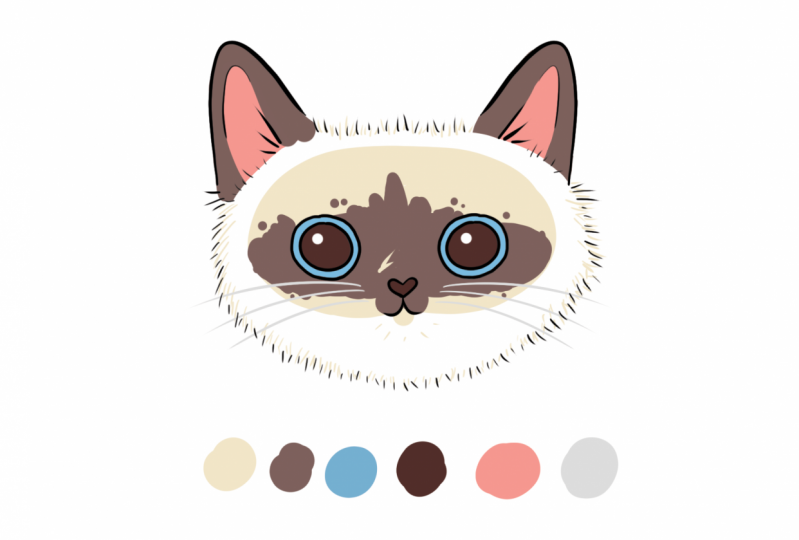 Cat Practice Project