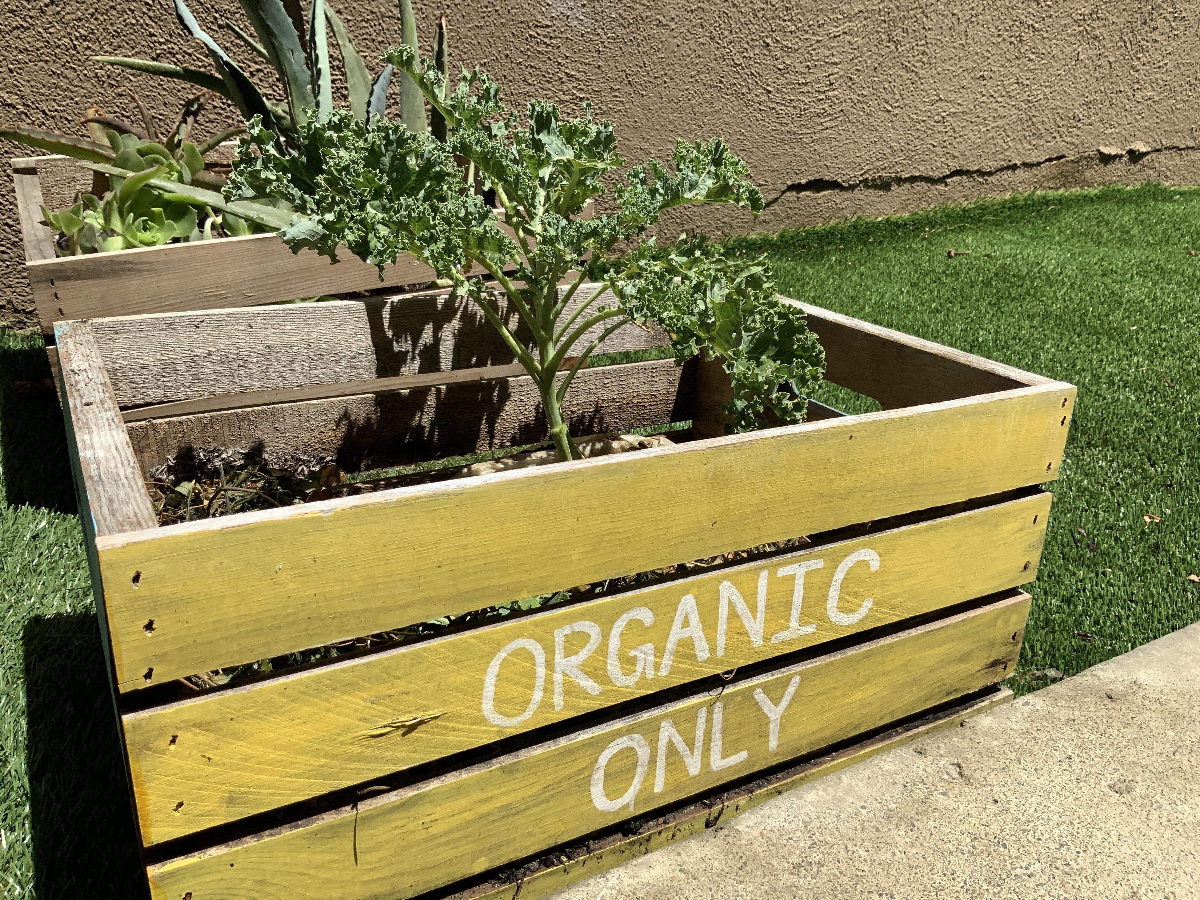 Compost - student project