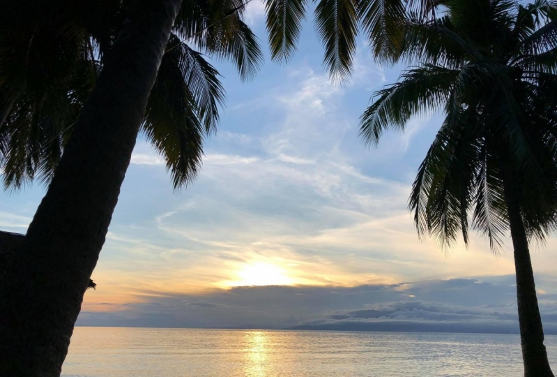 beach view