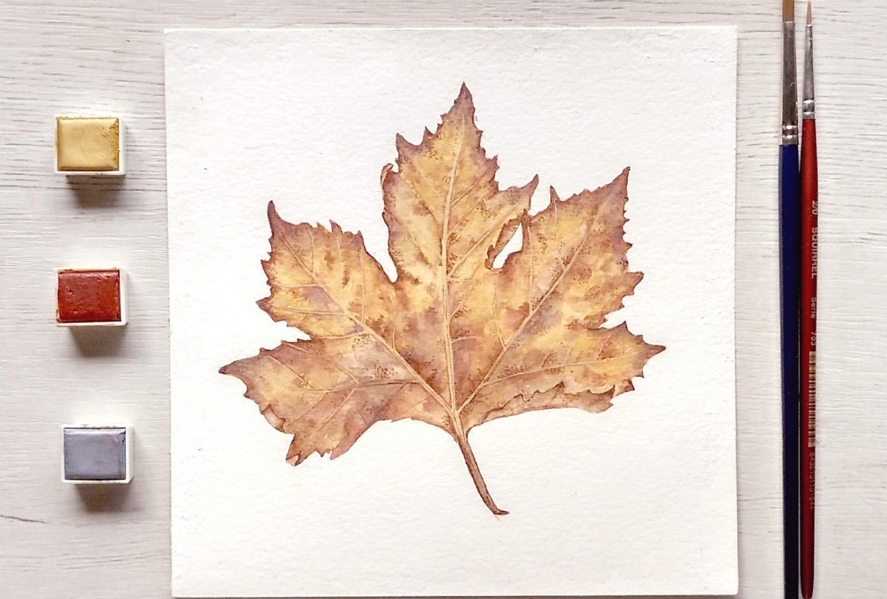 Maple leaf - student project