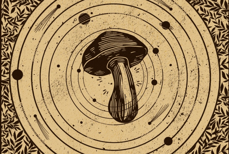 SpaceShroom