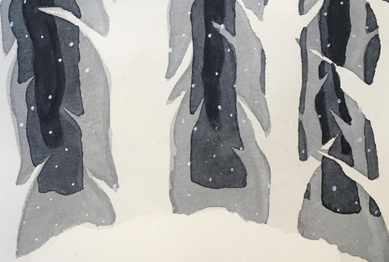 Forest in shades of black