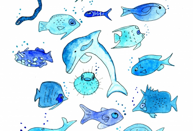 Sealife in Blue