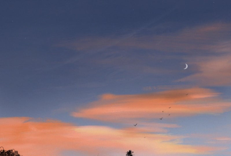 Sky