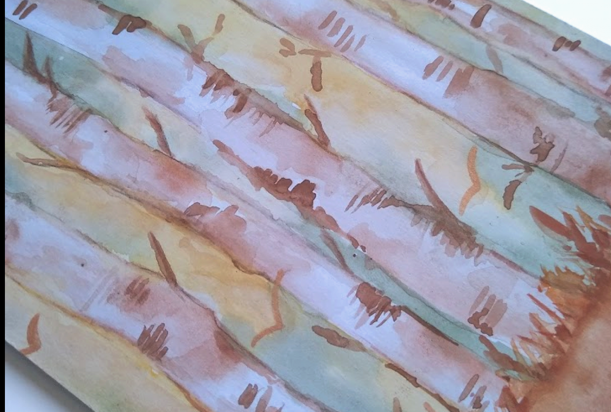 Birch Trees - student project