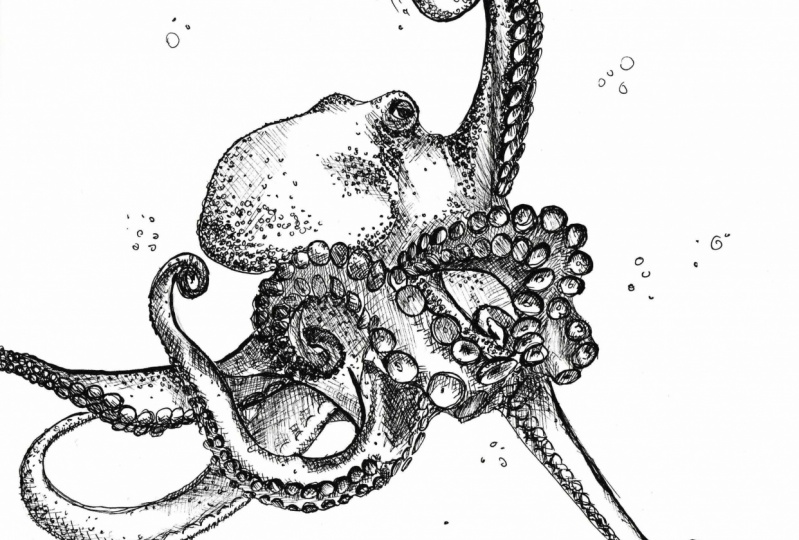 Shading, patterns and textures