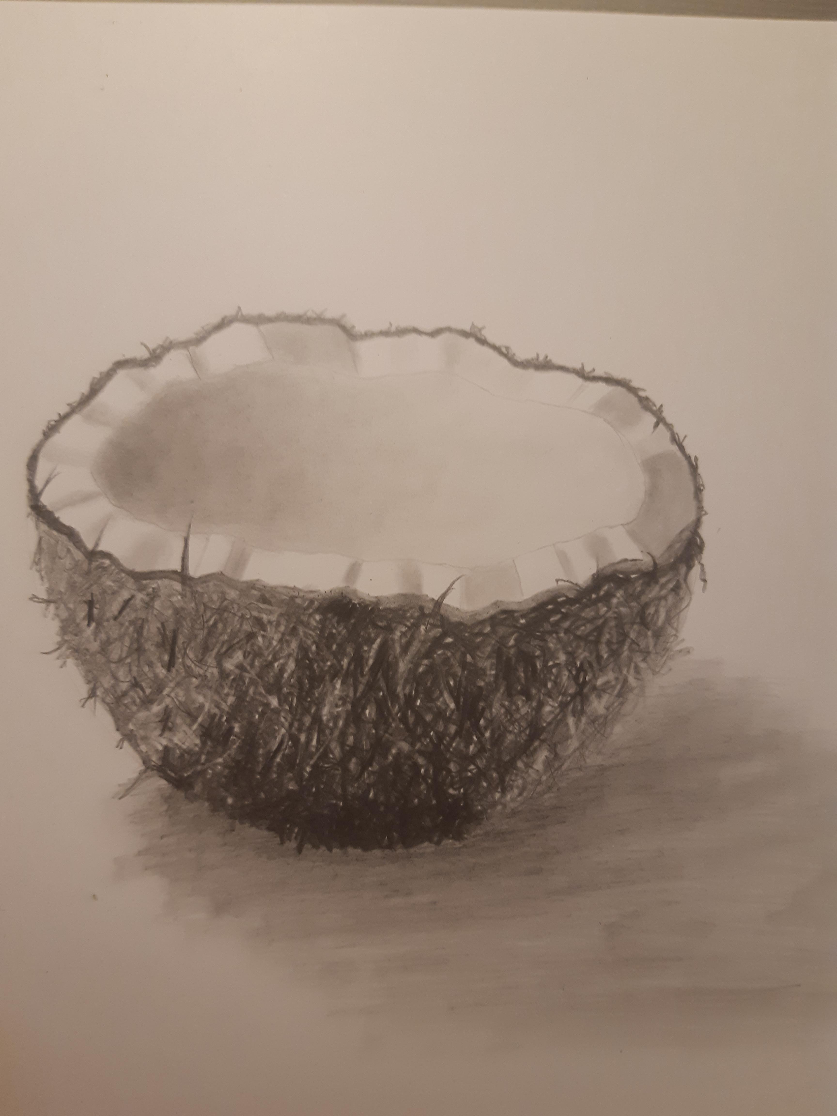 coconut - student project