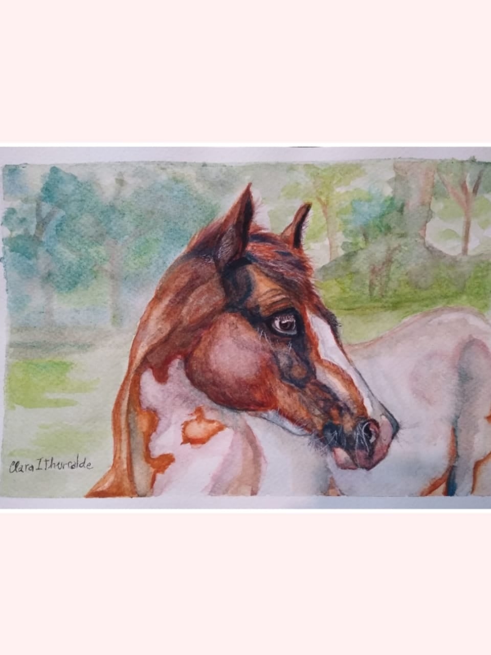 Arte Clara Ithurralde - student project