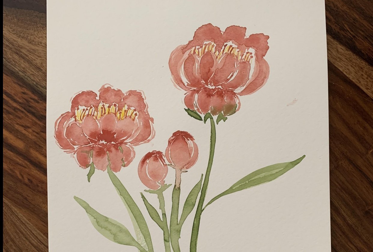 bunch of peonies - student project