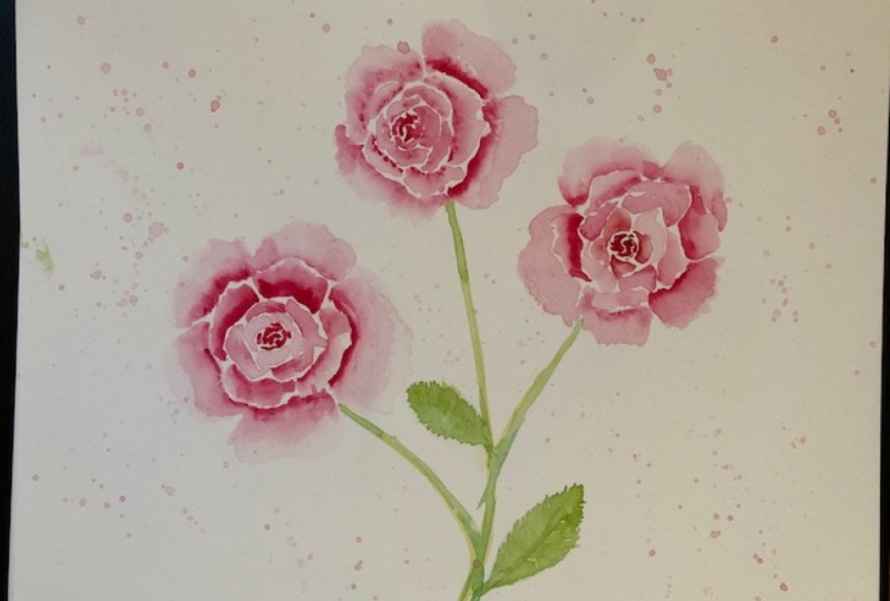 roses